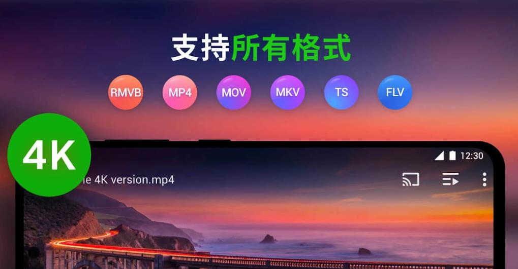 xplayer软件